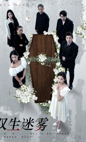 短剧《双生迷雾》海报