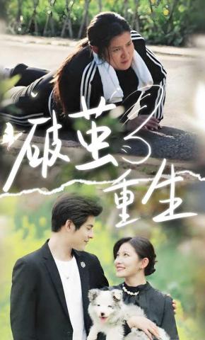 短剧《破茧重生》海报