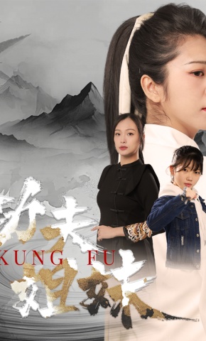 短剧《功夫姐妹》海报