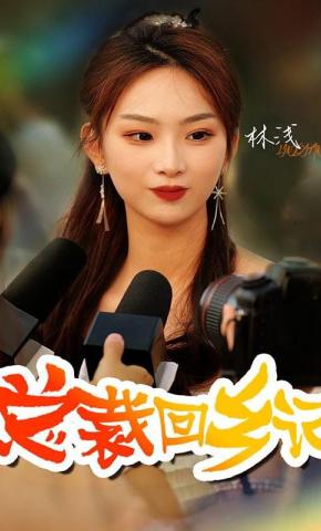 短剧总裁回乡记海报