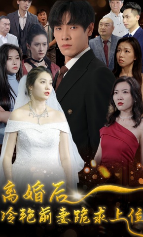 短剧离婚后，冷艳前妻跪求上位海报