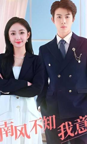 短剧南风不知我意海报