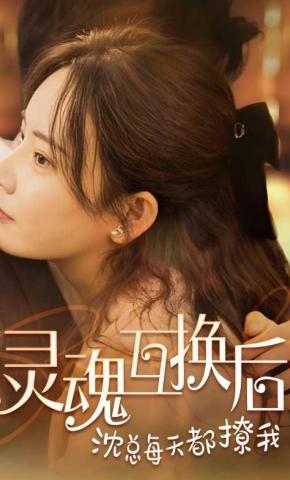 短剧灵魂互换后沈总每天都撩我海报