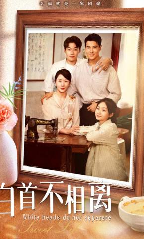 短剧白首不相离海报