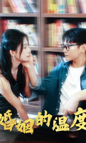 短剧婚姻的温度海报