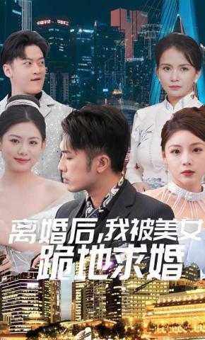 短剧离婚后，我被美女跪地求婚海报