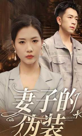 短剧妻子的伪装海报