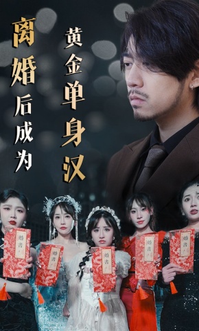 短剧离婚后成为黄金单身汉海报