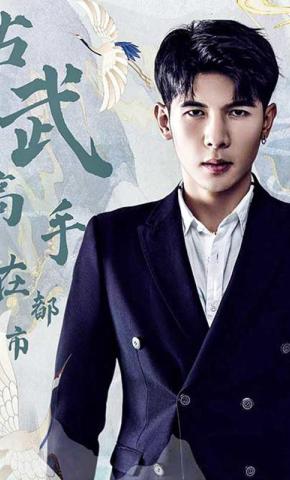 短剧古武高手在都市海报