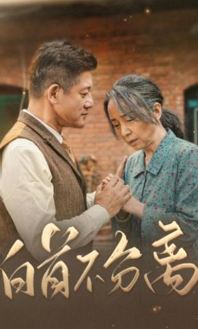 短剧白首不分离海报