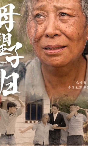 短剧母望子归海报