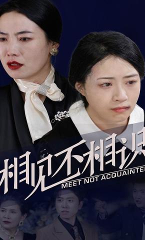 短剧相见不相识海报