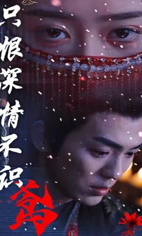 短剧《只恨深情不识鸢》海报