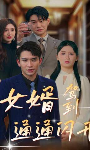 短剧女婿驾到，通通闪开海报