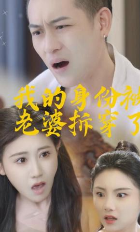 短剧《我的身份被老婆拆穿了》海报