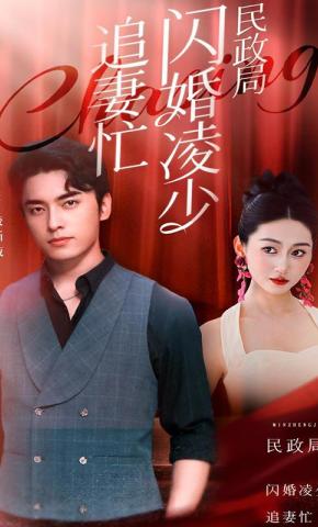 短剧民政局外闪婚凌少追妻忙海报