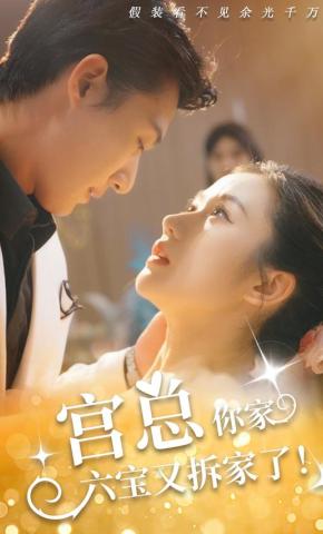 短剧《宫总，你家六宝又拆家了》海报