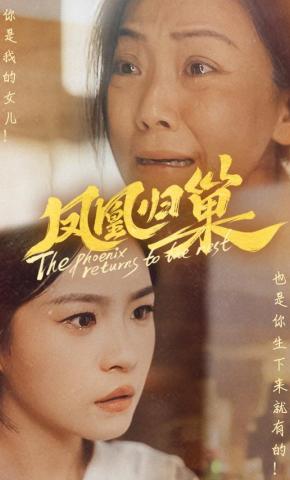 短剧凤凰归巢海报