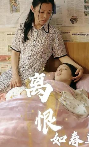 短剧离恨如春草海报