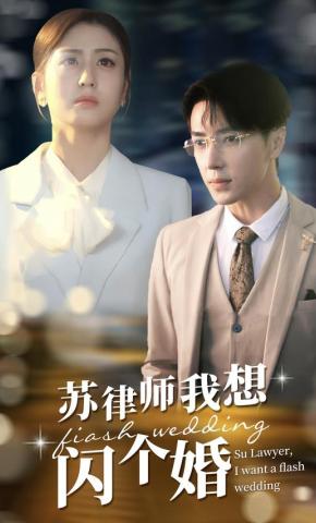 短剧《苏律师我想闪个婚》海报