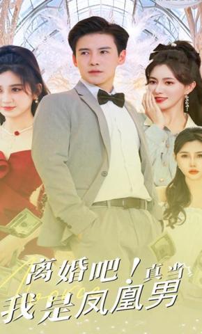 短剧《离婚吧！真当我是凤凰男》海报