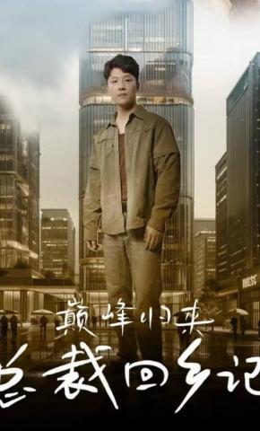 短剧《巅峰归来总裁回乡记》海报