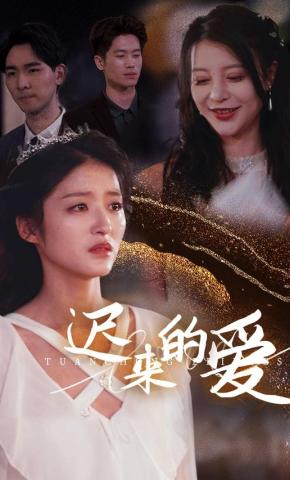 短剧《迟来的爱》海报