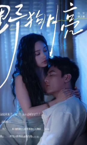 短剧《野狗月亮》海报