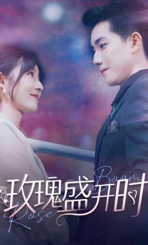 短剧玫瑰盛开时海报