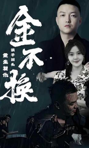 短剧金不换海报