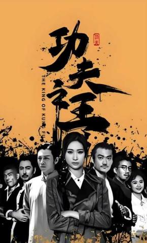短剧功夫之王海报