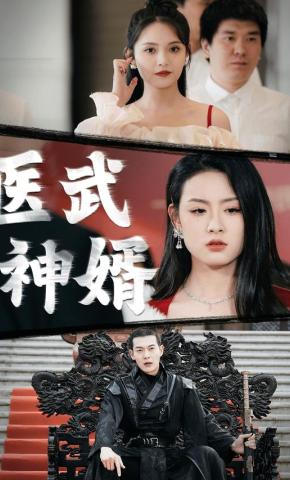 短剧医武神婿海报