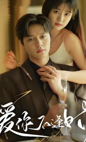 短剧《爱你不逢时》海报