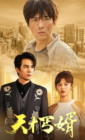 短剧《天才丐婿》海报