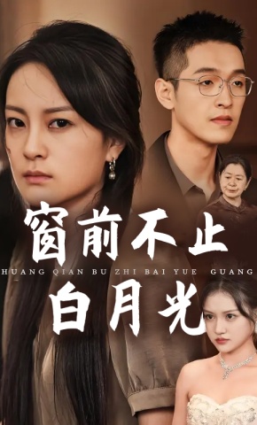 短剧窗前不止白月光海报