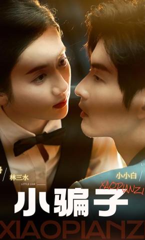 短剧小骗子海报