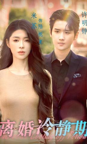 短剧《离婚冷静期》海报