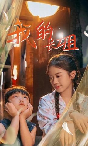 短剧我的长姐海报