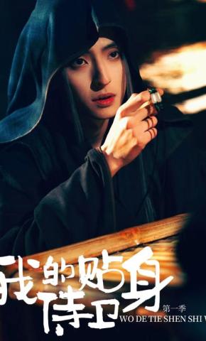 短剧我的贴身侍卫 第一季海报