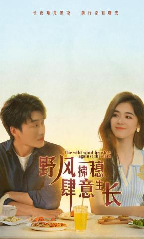 短剧《野风拂穗肆意生长》海报