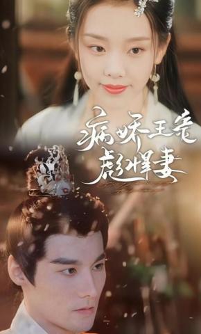 短剧病娇王爷彪悍妻海报