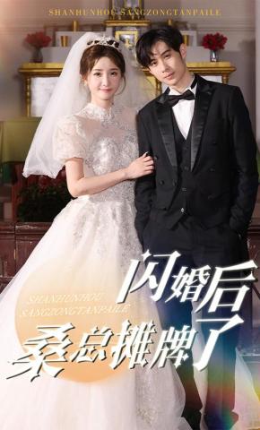 短剧闪婚后桑总摊牌了海报
