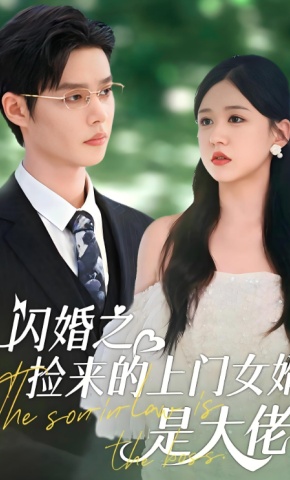 短剧《闪婚之捡来的上门女婿是大佬》海报