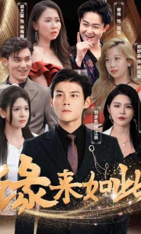 短剧缘来如此海报