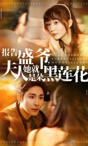 短剧《报告盛爷，夫人她就是朵黑莲花》海报