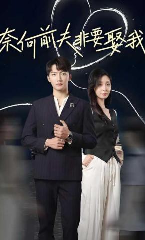 短剧奈何前夫非要娶我海报
