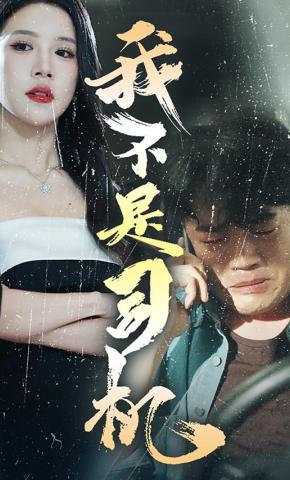 短剧我不是司机海报