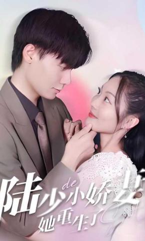 短剧陆少的小娇妻她重生了海报