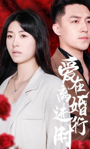 短剧《爱在离婚进行时》海报