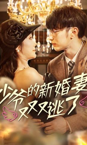 短剧少爷的新婚妻又又又逃了海报